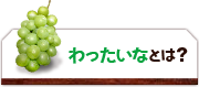 わったいなとは？