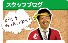 スタッフブログ　ようこそわったいなへ